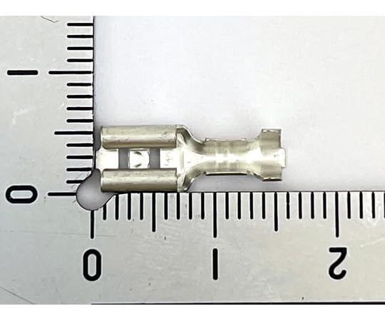 オーダー♡確認用 ハムコロネンネ Mサイズ２個set Amazon.co.jp: ミネベアコネクト OTP ファストン端子187型メス